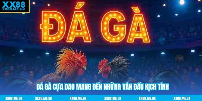Đá gà cựa dao mang đến những ván đấu kịch tính